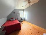 316 Old Sulphur Springs Road - Photo 47