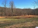 316 Old Sulphur Springs Road - Photo 52