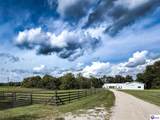 16780 Cub Run Highway - Photo 5