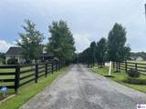 441 Knobview Drive - Photo 79