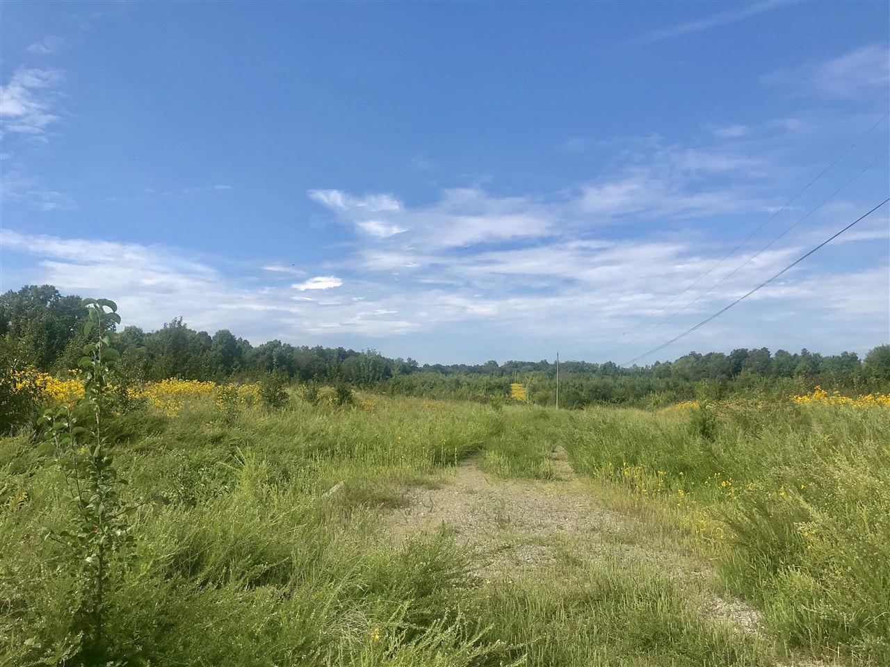 Lot 0 Allen Road - Photo 1