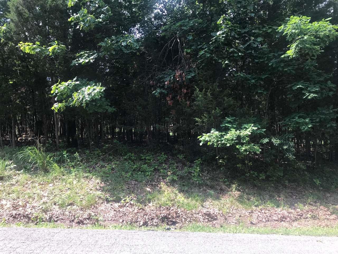 790 Dandelion Lane - Photo 1