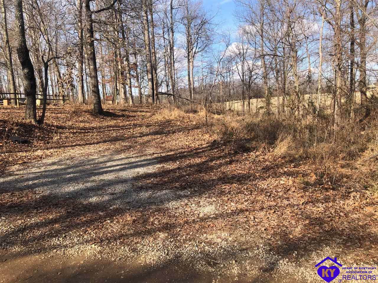 20 Mustang Lane - Photo 1