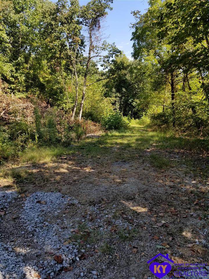 Lot 24 Oak Lane - Photo 1