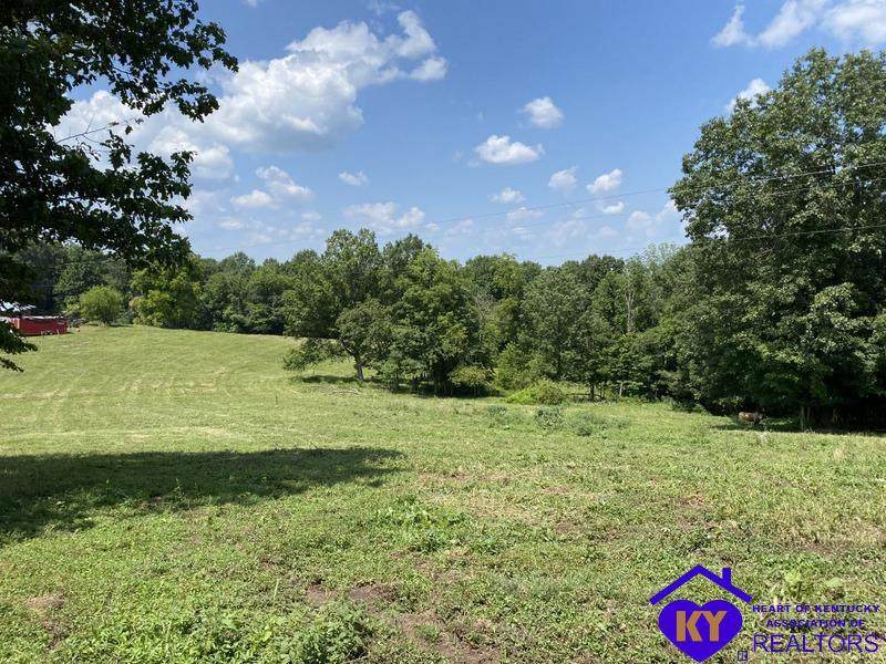Acreage Aetna Furnace Highway - Photo 1