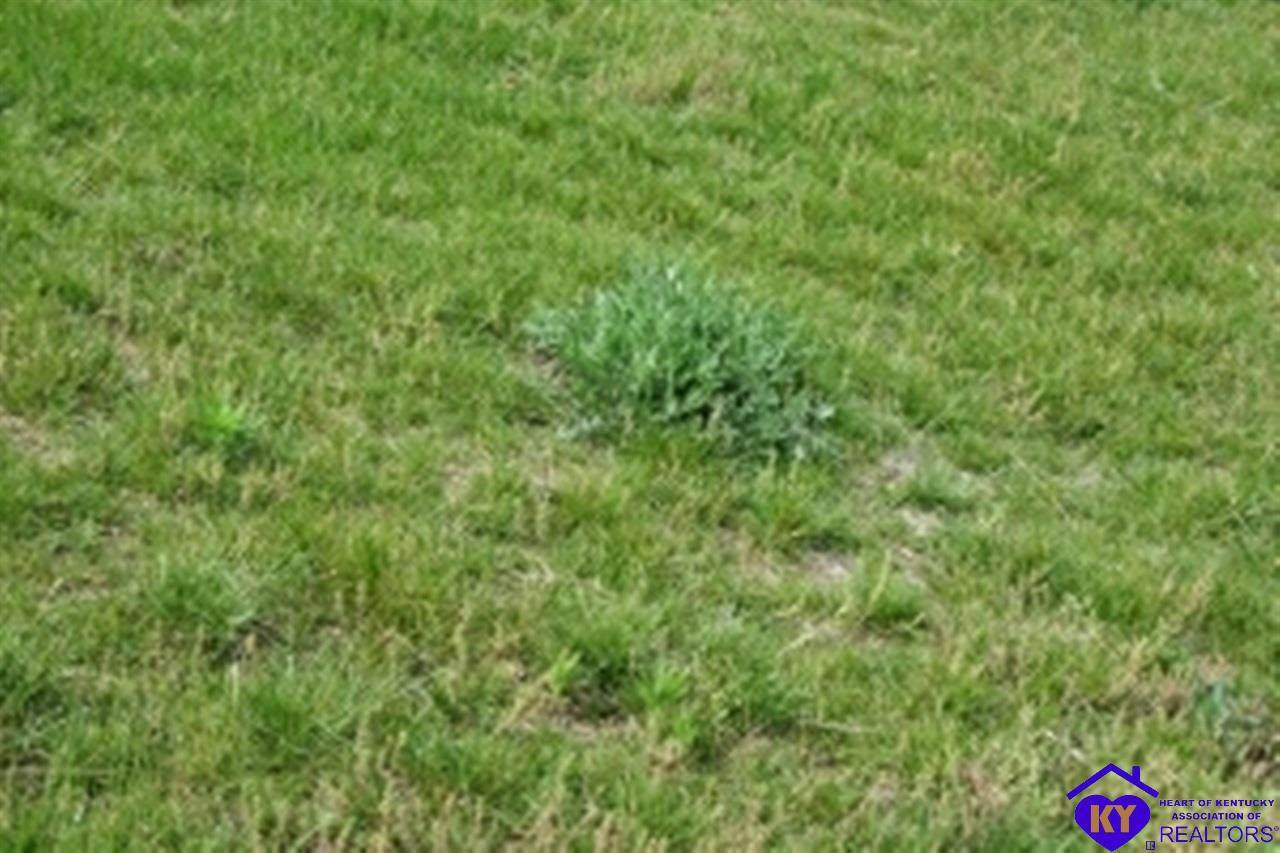lot 12 Chinoe - Photo 1