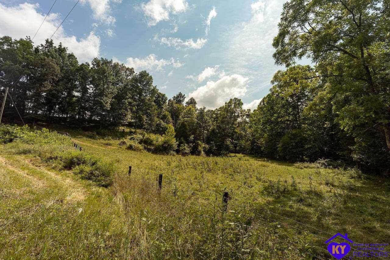 Lot 3 Givens Lane - Photo 1