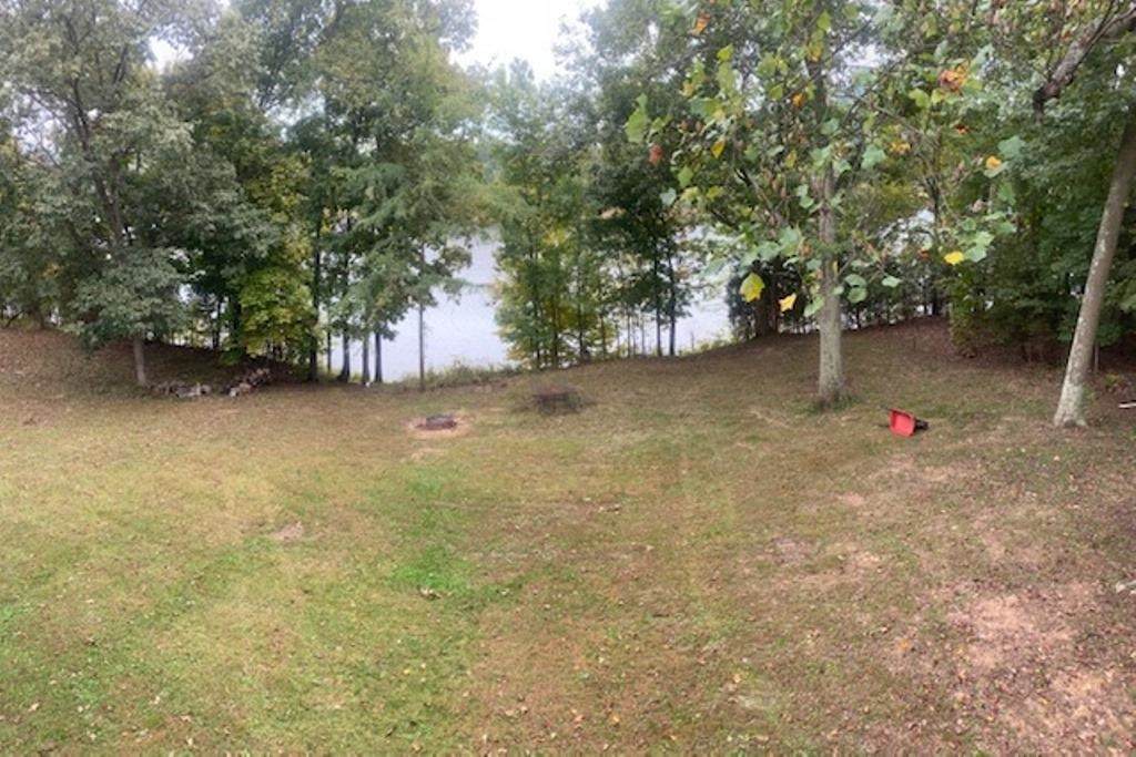 1517 Cave Heights Lane - Photo 1