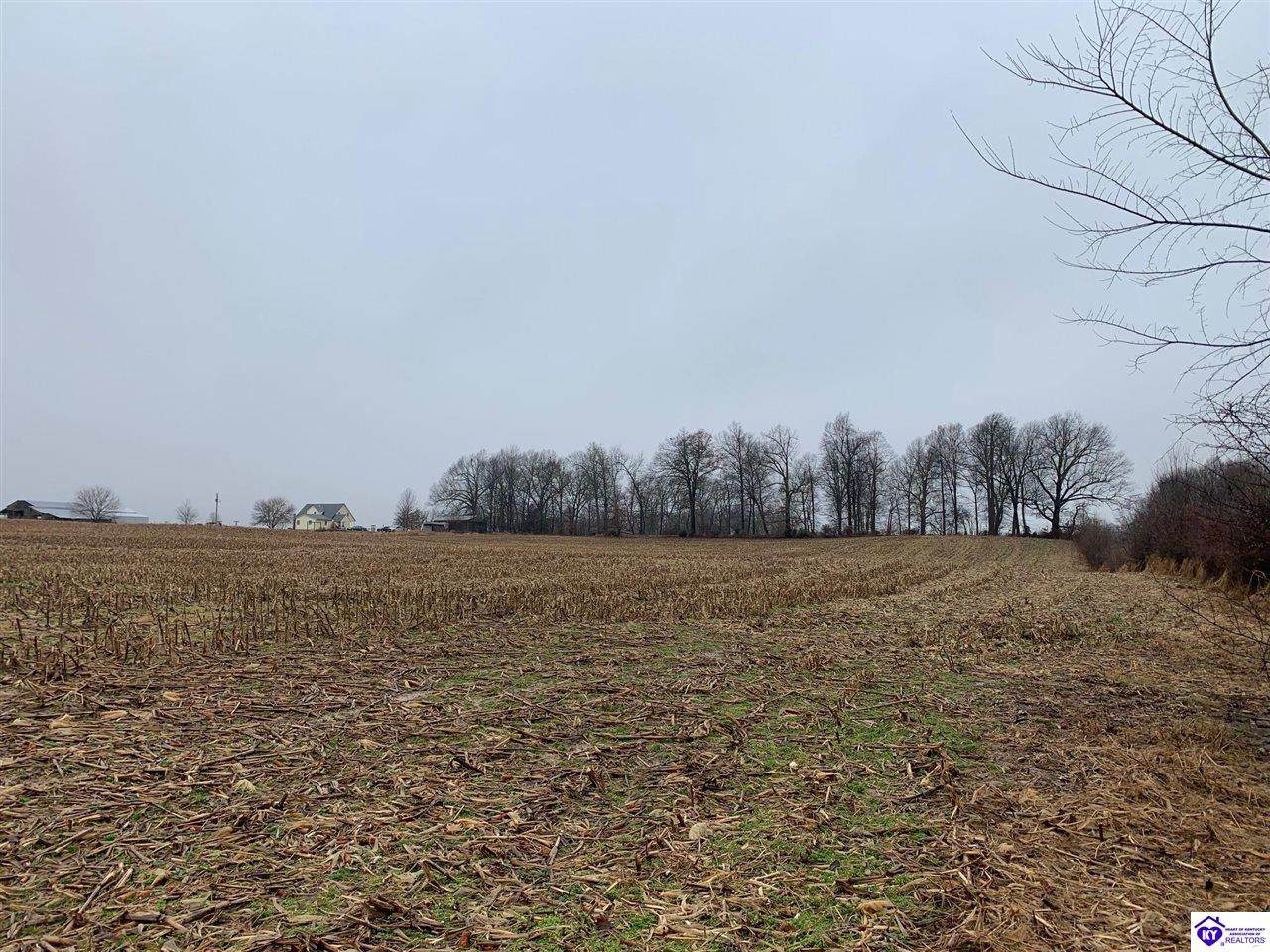 1 Mt Sherman Rd - Photo 1