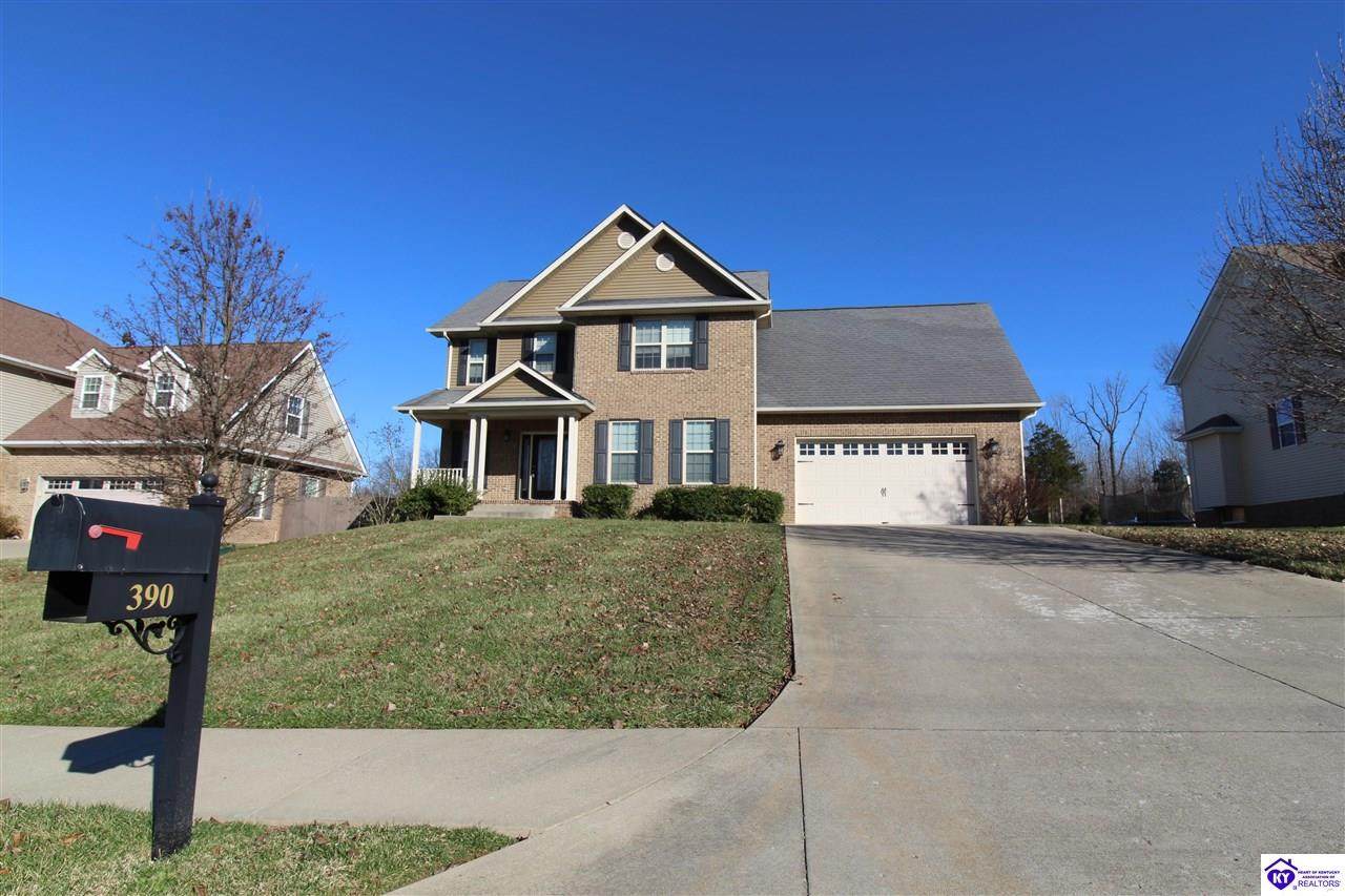 390 Black Ravens Court - Photo 1
