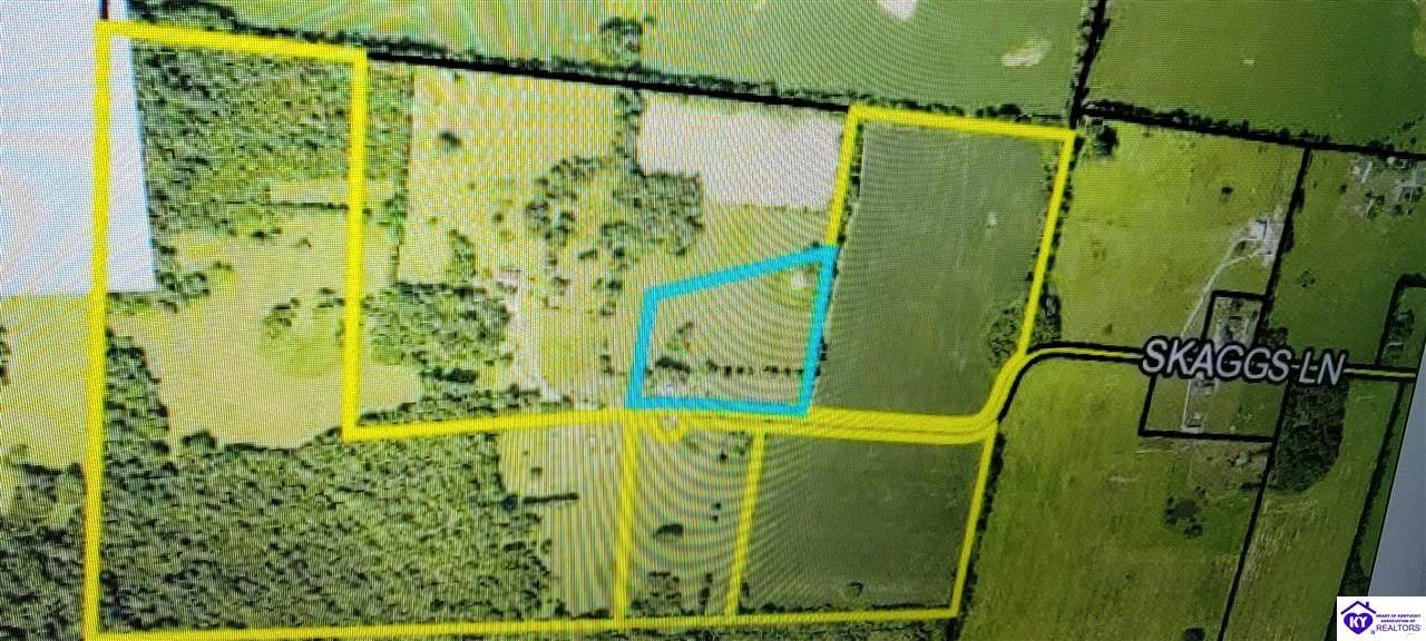 0 Skaggs Lane - Photo 1