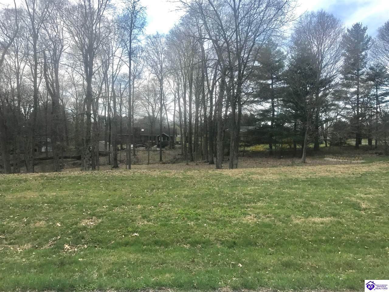 lot #89 Deer Park - Photo 1