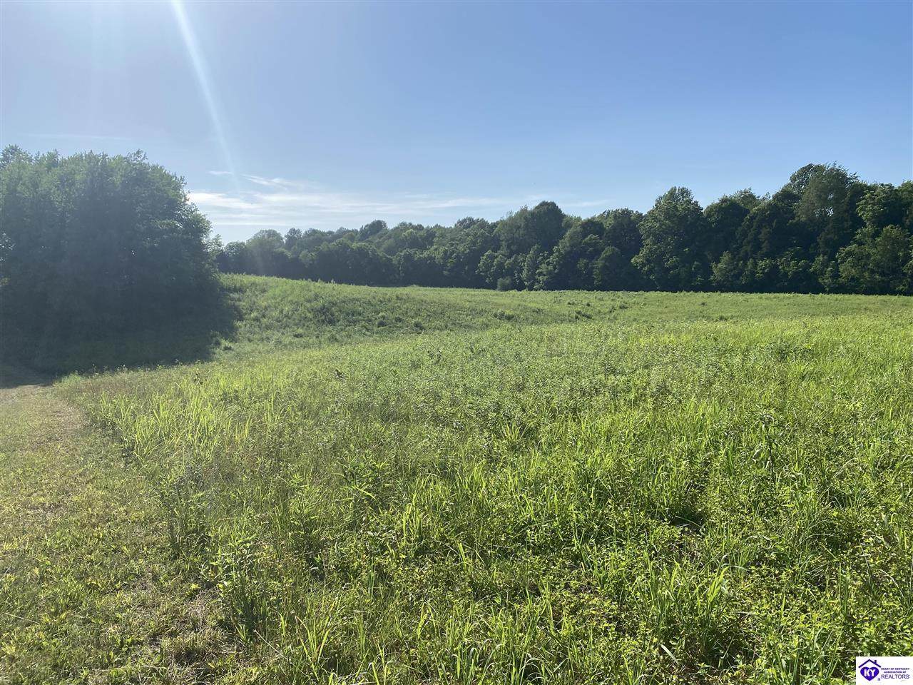 0 Lincoln Farm Road - Photo 1