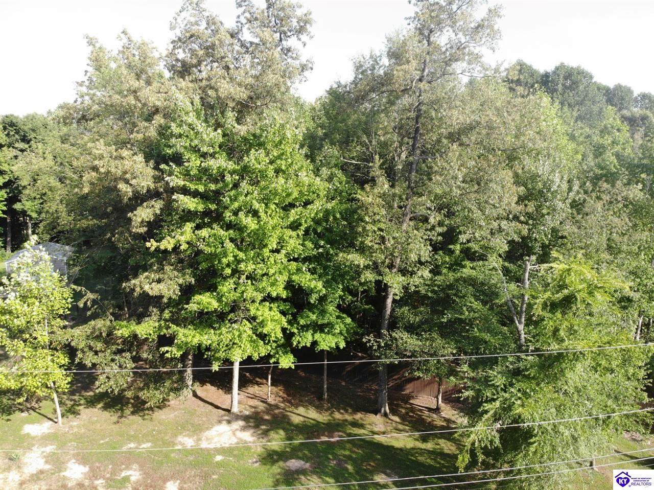 Lot 58 Boggs Court - Photo 1