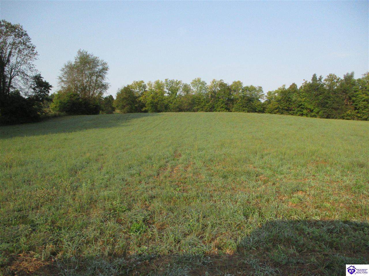 0 Long Grove Road - Photo 1