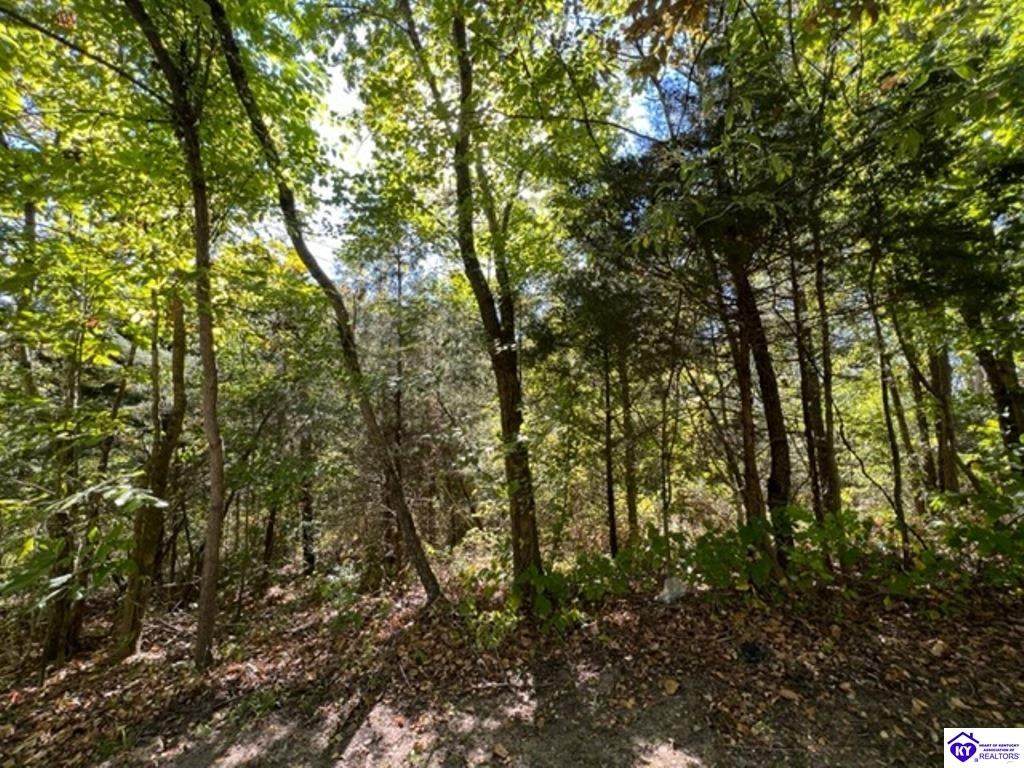 11293 Beaver Dam Road - Photo 1