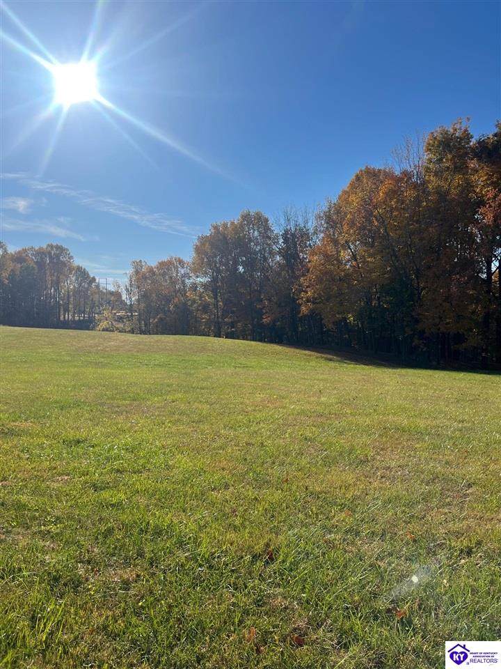 Lot 12 Blackberry Drive - Photo 1