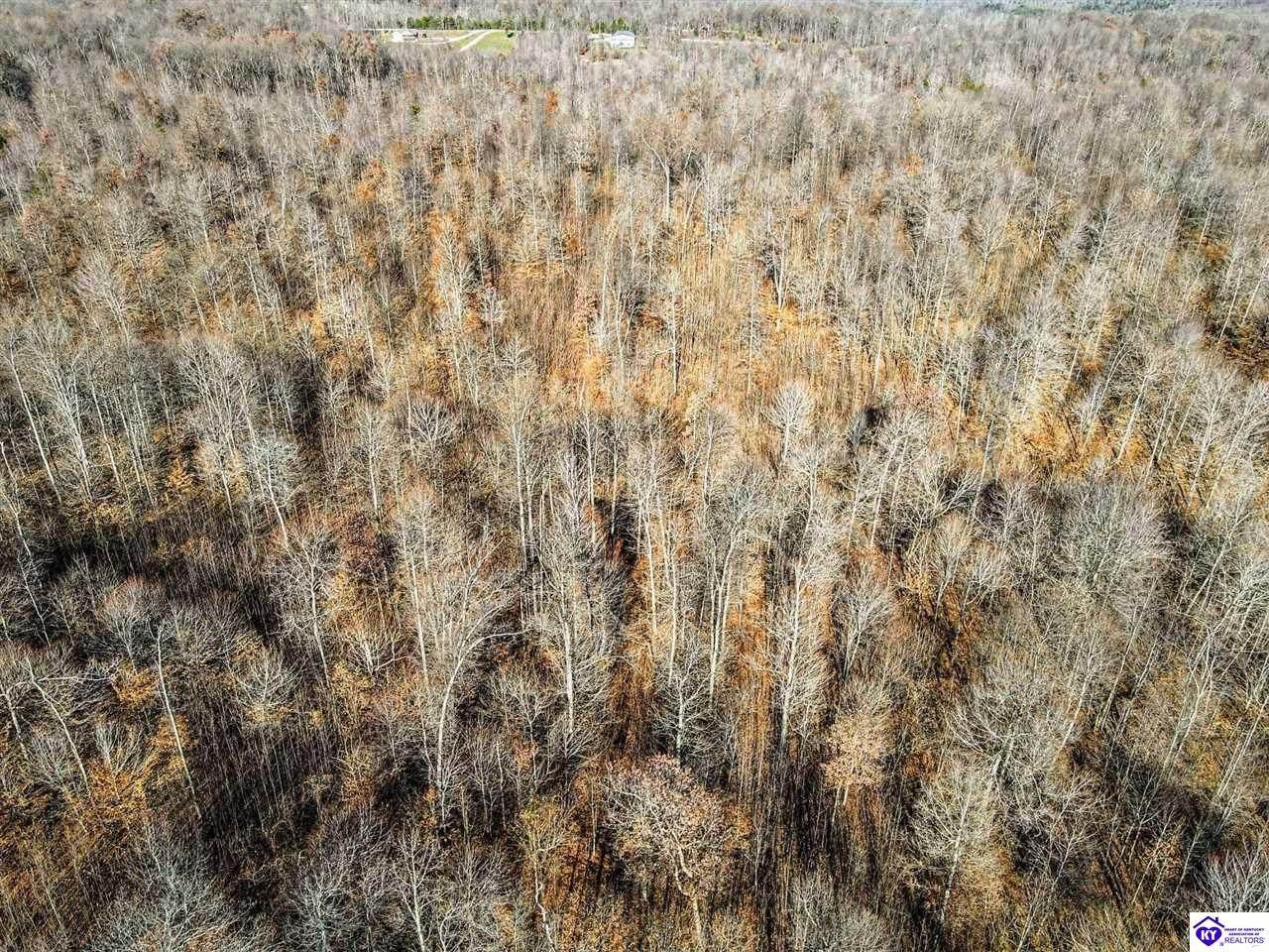 0000 Shepherdsville Road - Photo 1