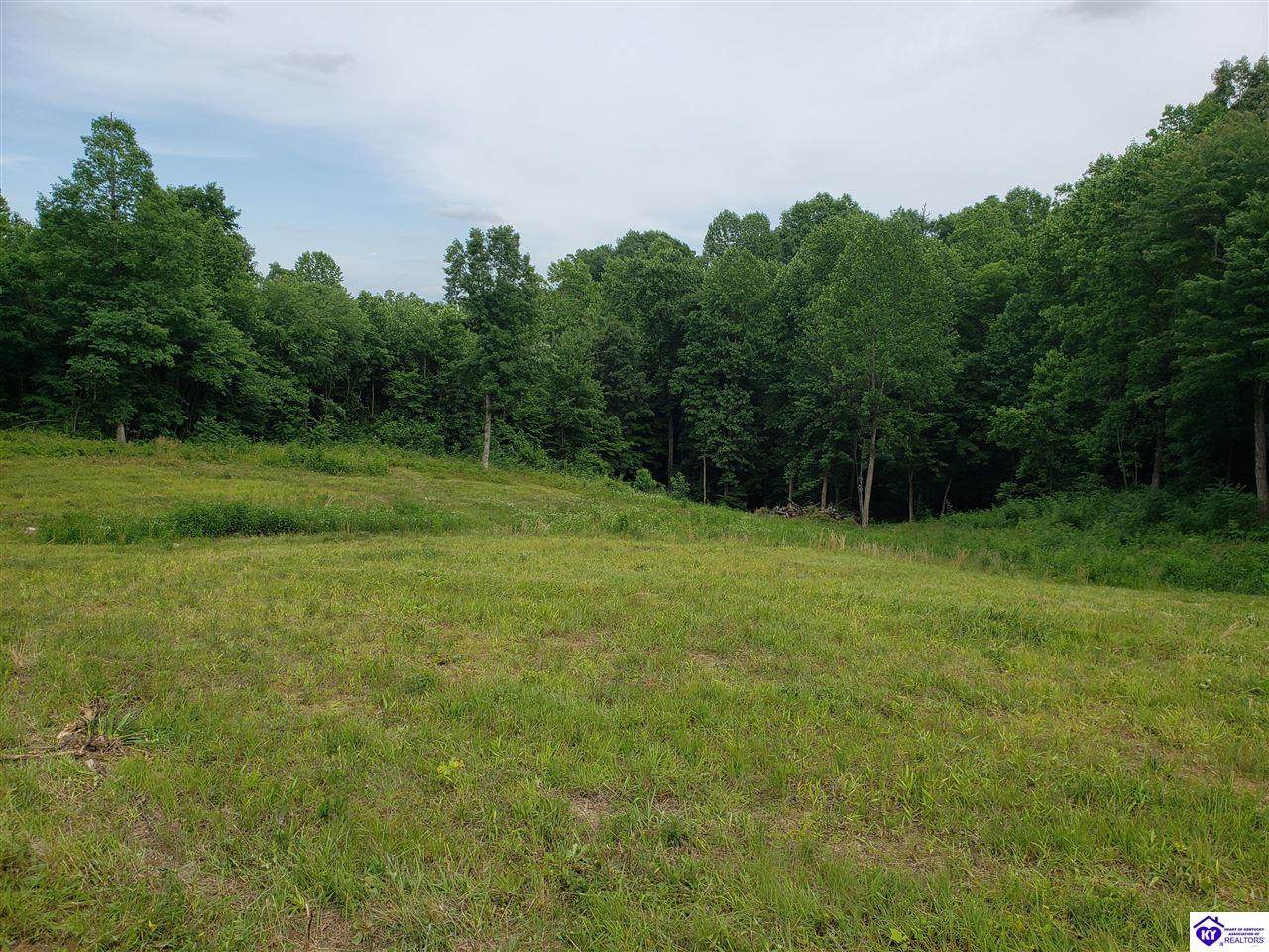 Lot 21 & 22 Beverly Hills Drive - Photo 1