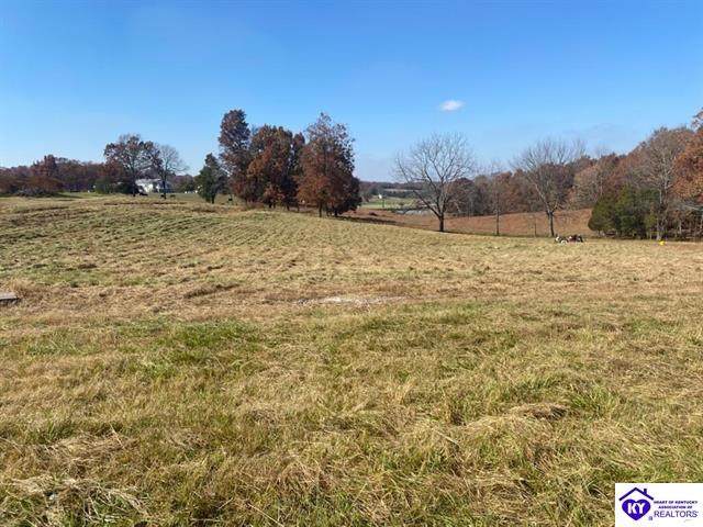3157 Lot 3 Brandenburg Road - Photo 1