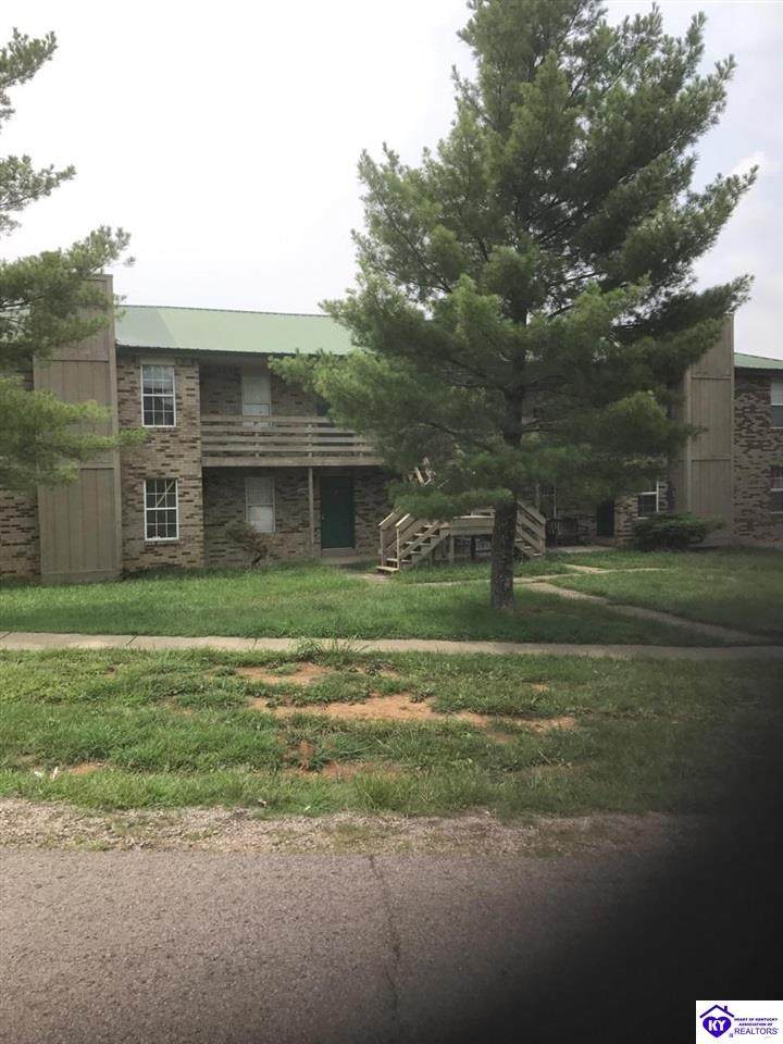430 Wagon Wheel Trail - Photo 1