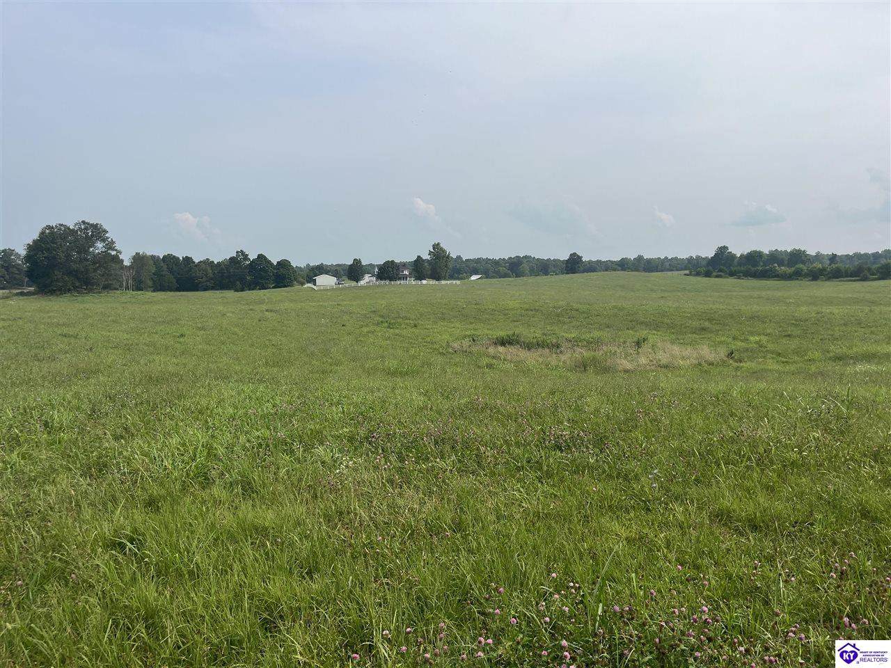 0 Weldon Loop - Photo 1