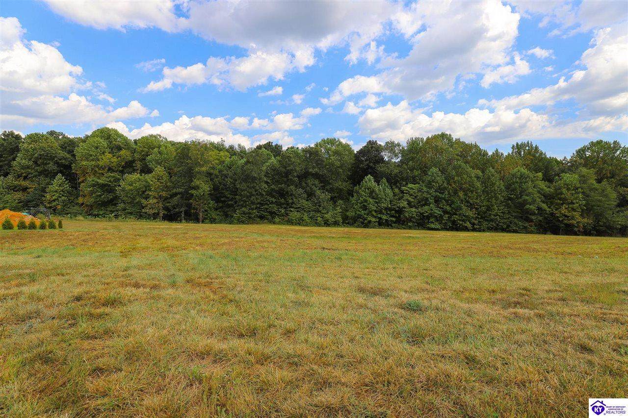 Lot 6 Foxwood Court - Photo 1