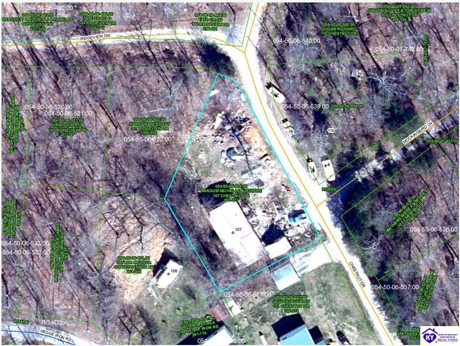 107 Chestnut Drive - Photo 1