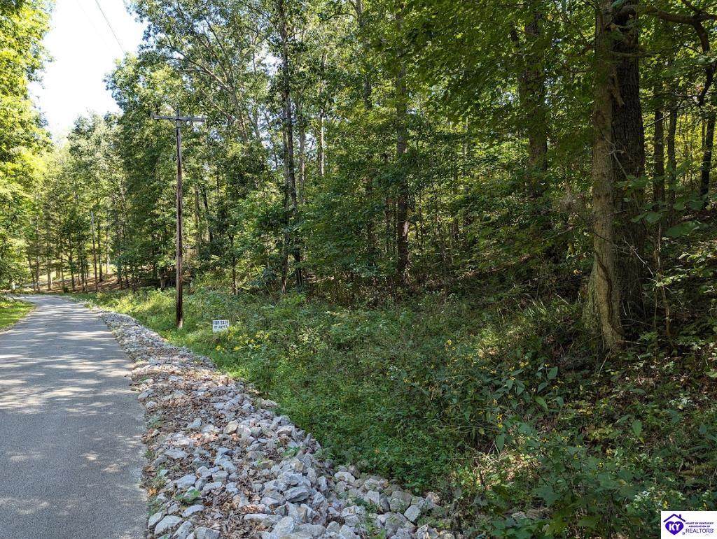 671 Holley Cave Drive - Photo 1