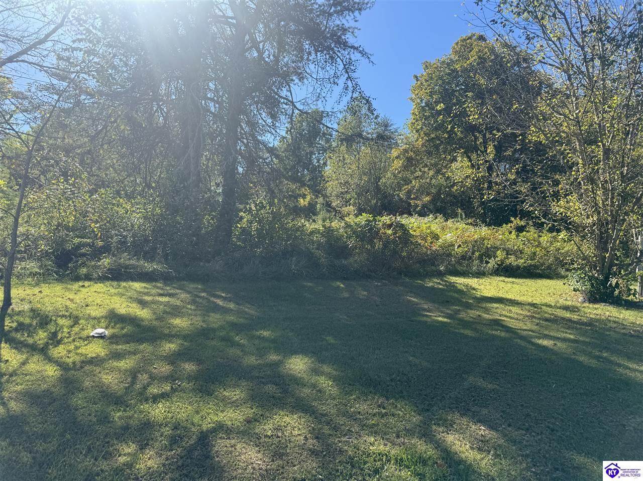 640 Joe Brown Road - Photo 1