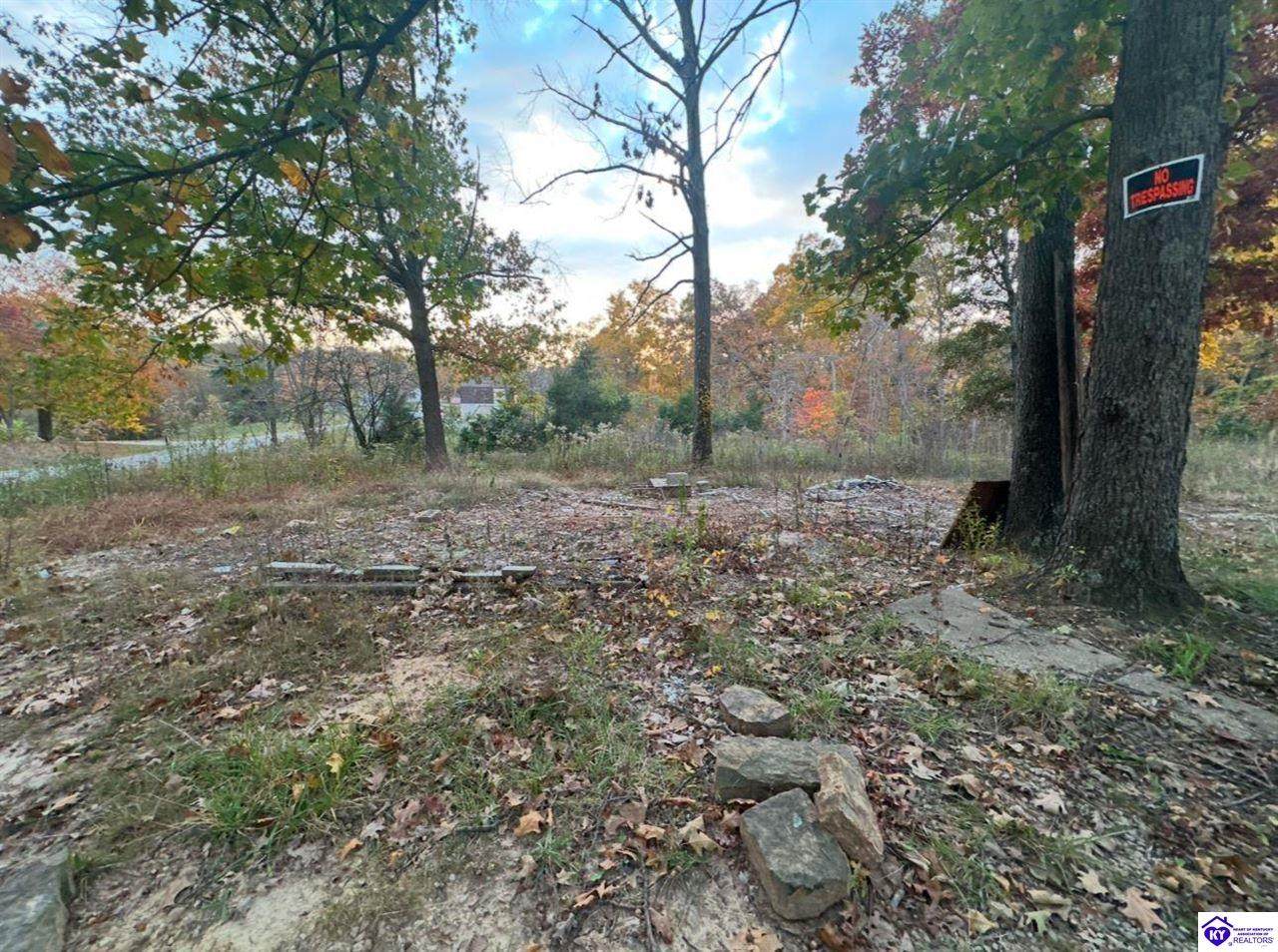 465 Berryman Road - Photo 1