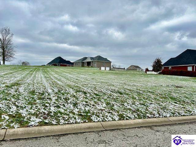 Lot 2 Old Pitman Road - Photo 1