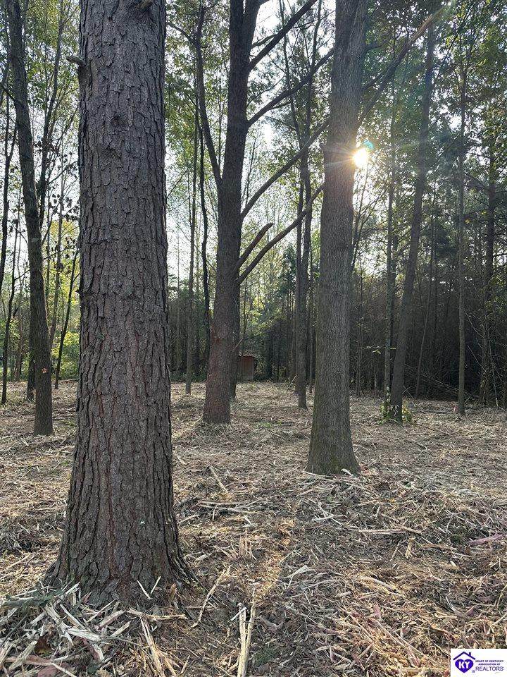 147 Sassy Ct - Photo 1