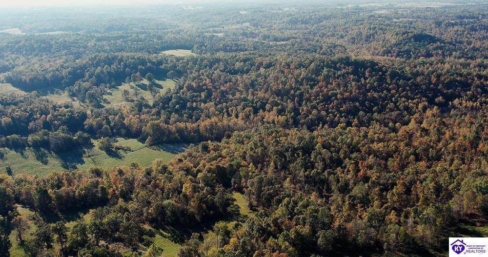 TRACT 3 Roy Road - Photo 1