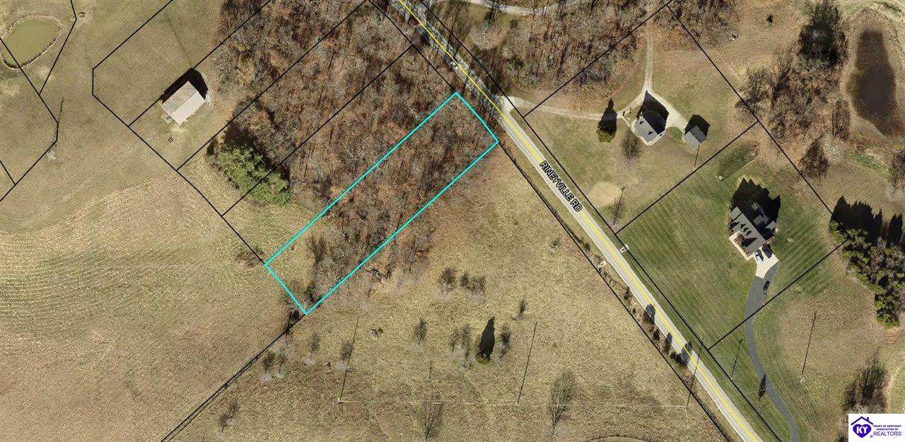 Lot 11 Rineyville Road - Photo 1