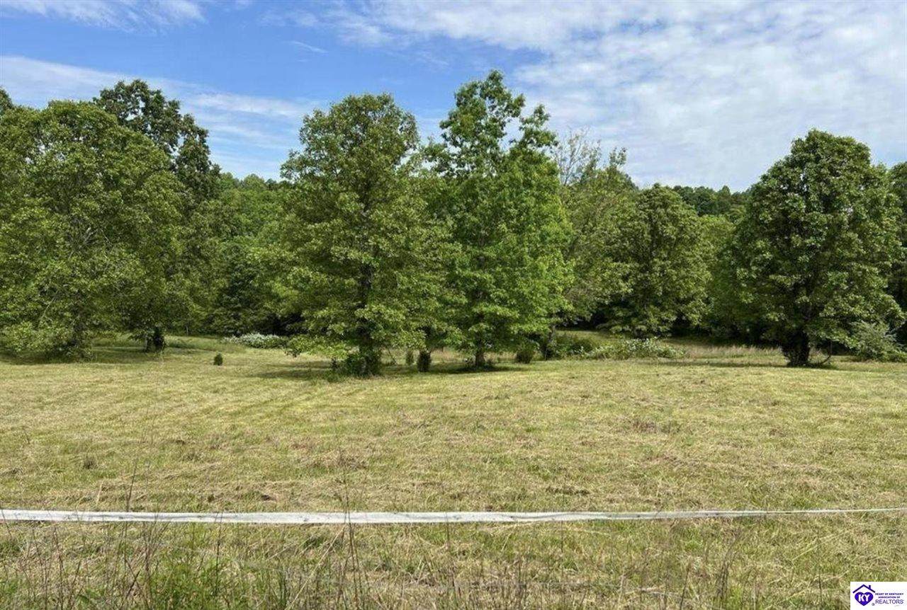 Lot 1 Constantine Road - Photo 1