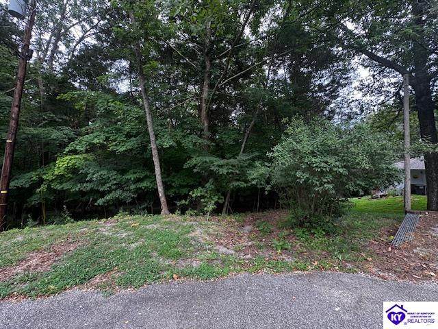 Lot 55 Bluebird Road - Photo 1