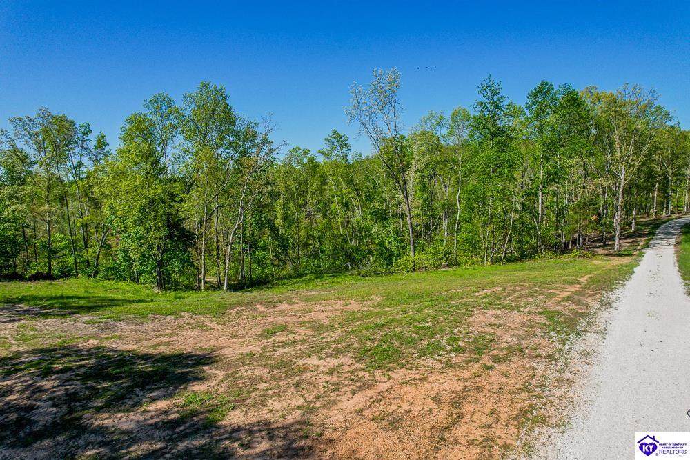 TRACT 3 Concord Church Road - Photo 1