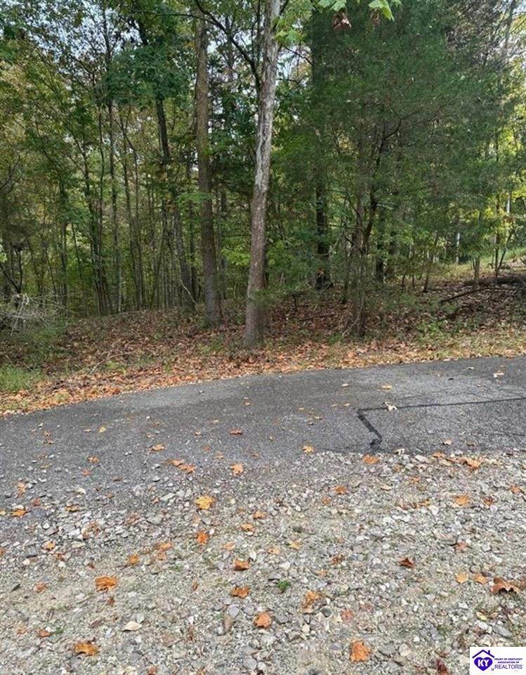 971 Penny Royal Lane - Photo 1