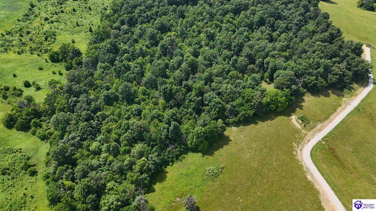 Tract 5 Troutman Lane - Photo 1