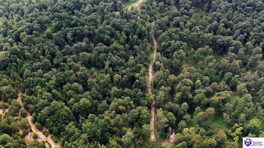 Tract 3 Cook Lane - Photo 1