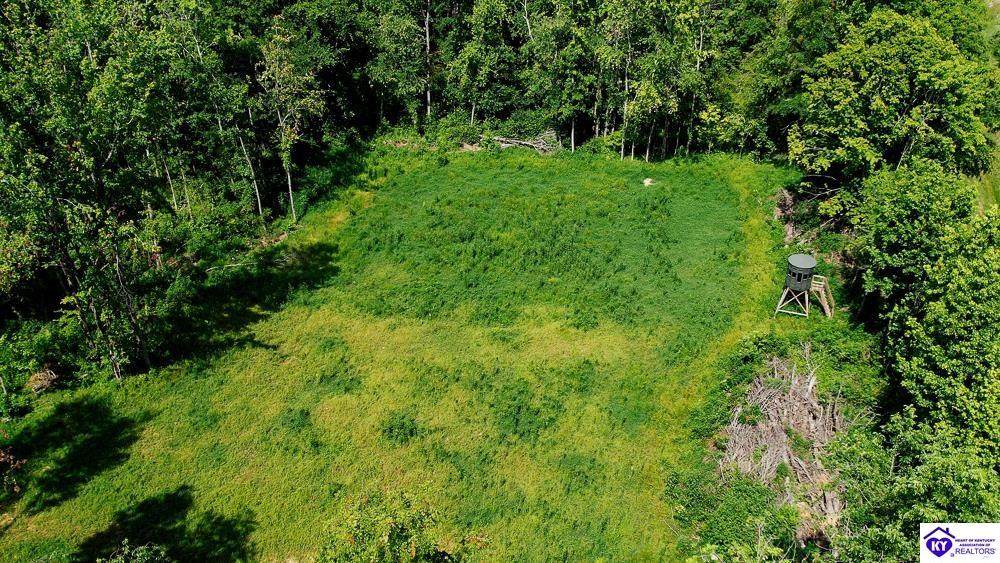 Tract 6 Cook Lane - Photo 1