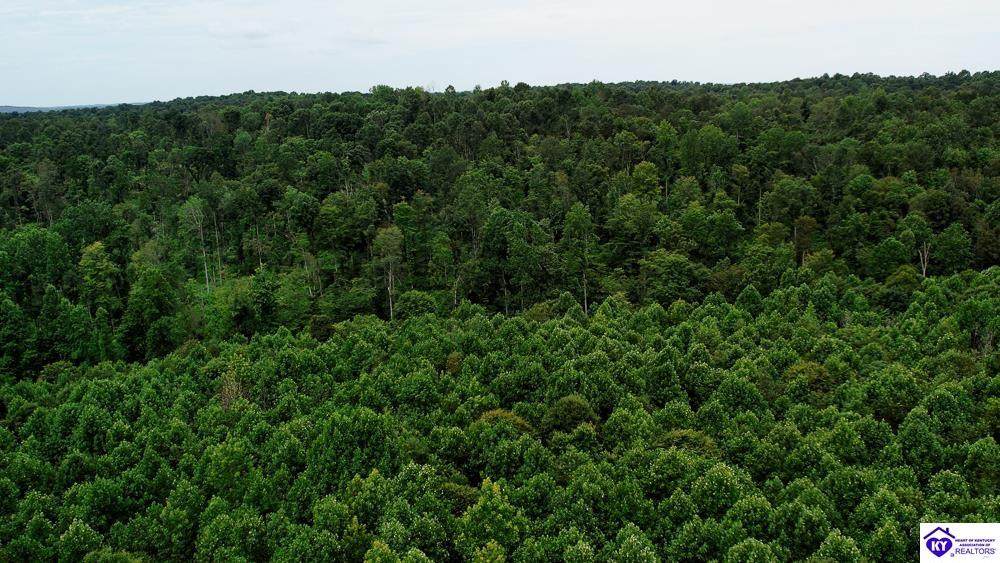 Tract 7 Cook Lane - Photo 1