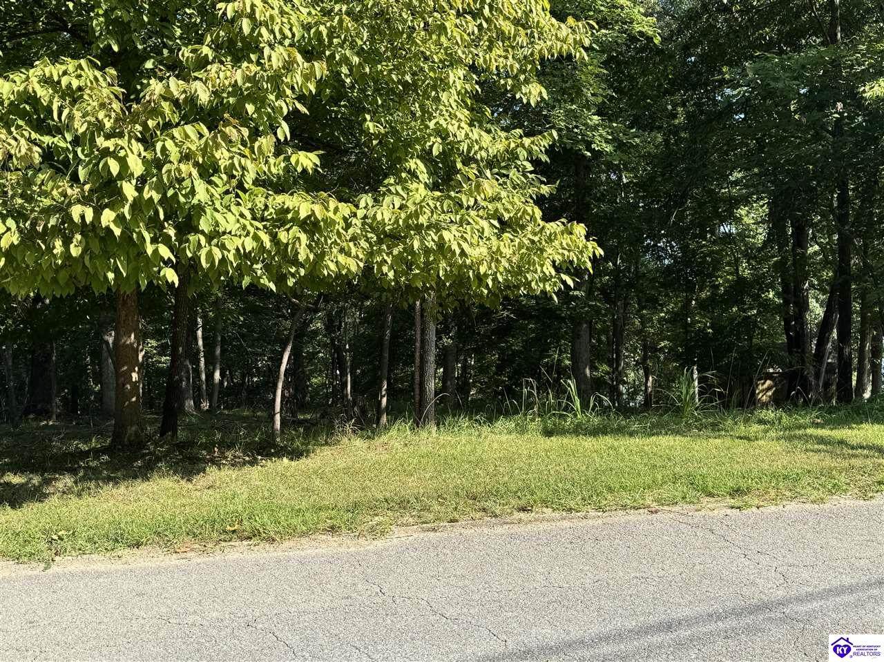 62 Lakeshore Parkway - Photo 1