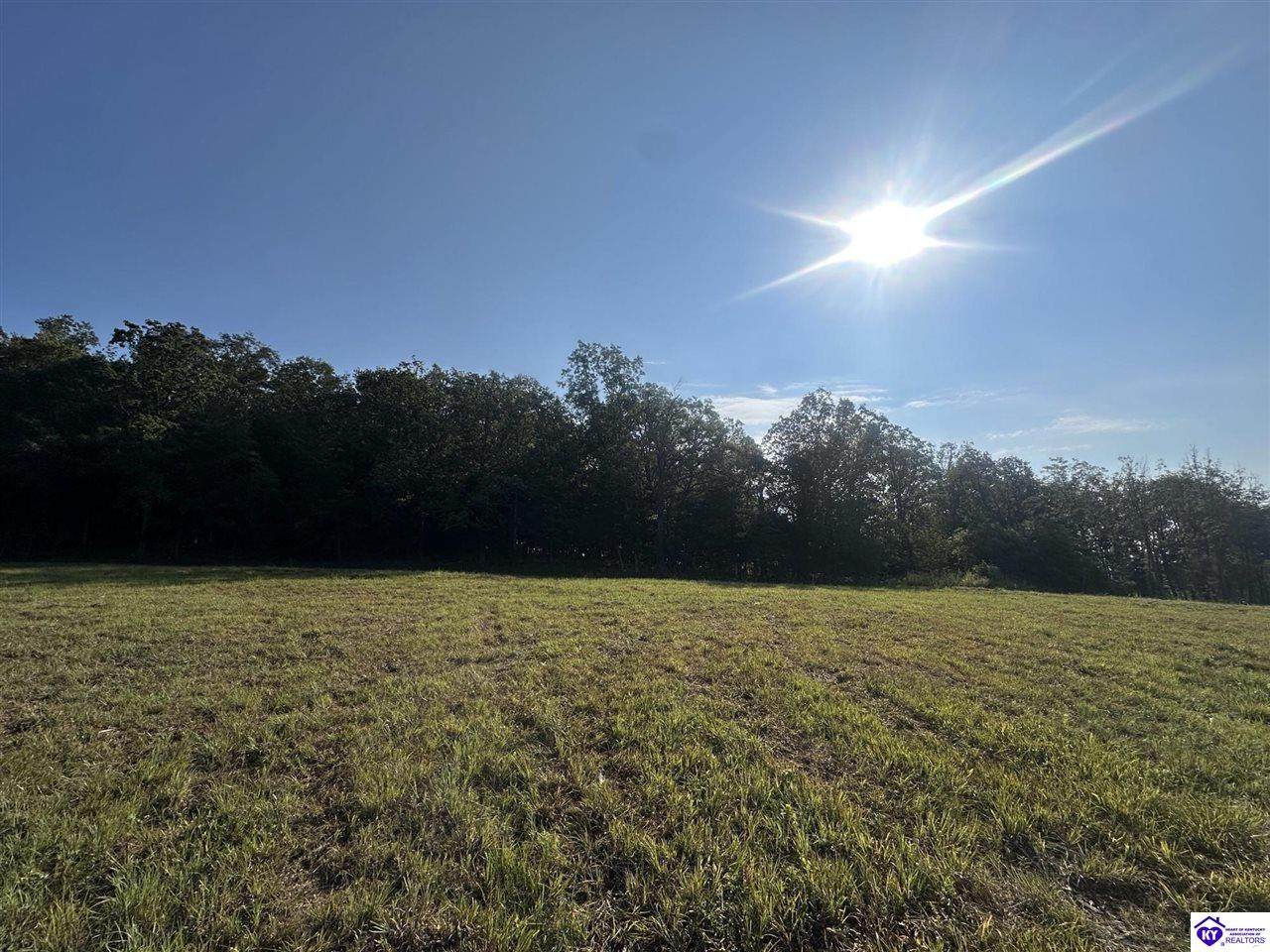 13622 Grayson Springs Road - Photo 1