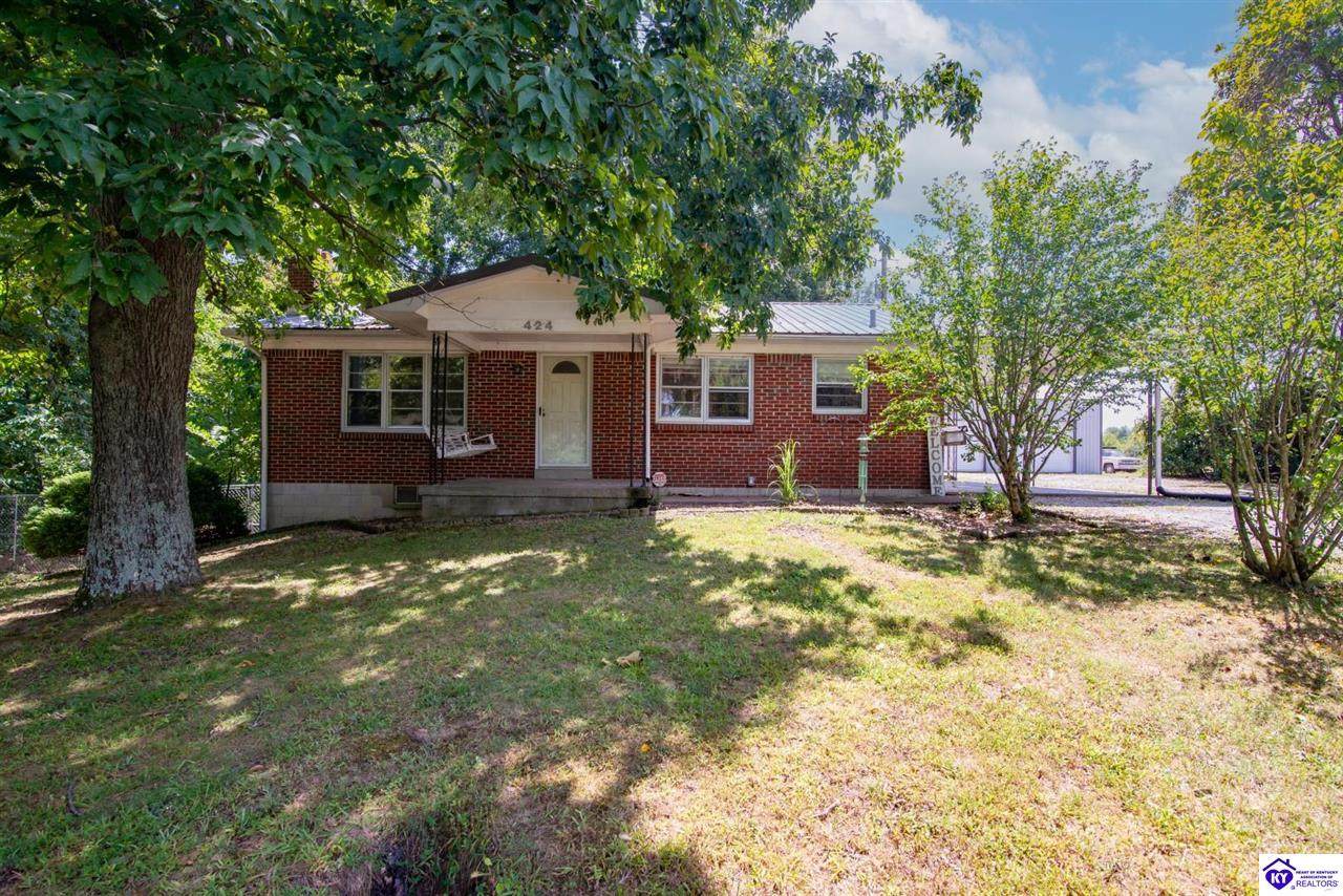 424 Big Clifty Road - Photo 1