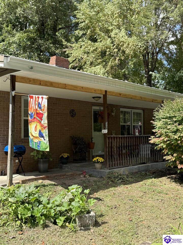 303 Spruce Street - Photo 1