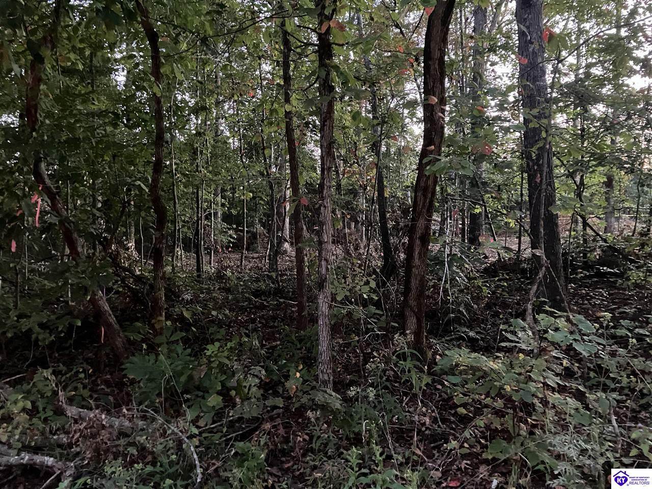  Rock Creek Road - Photo 1