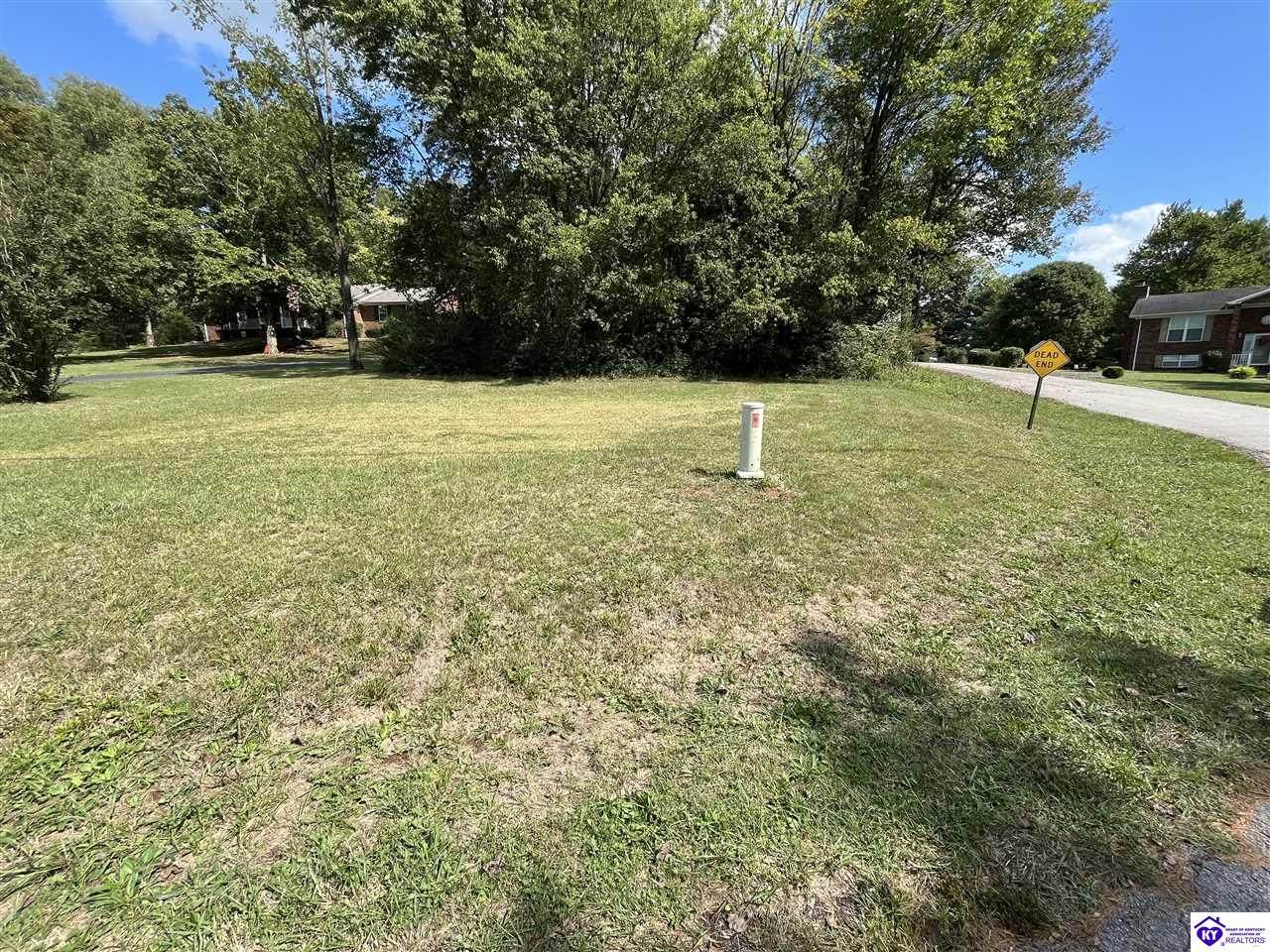 Lot 26 Dogwood Lane - Photo 1