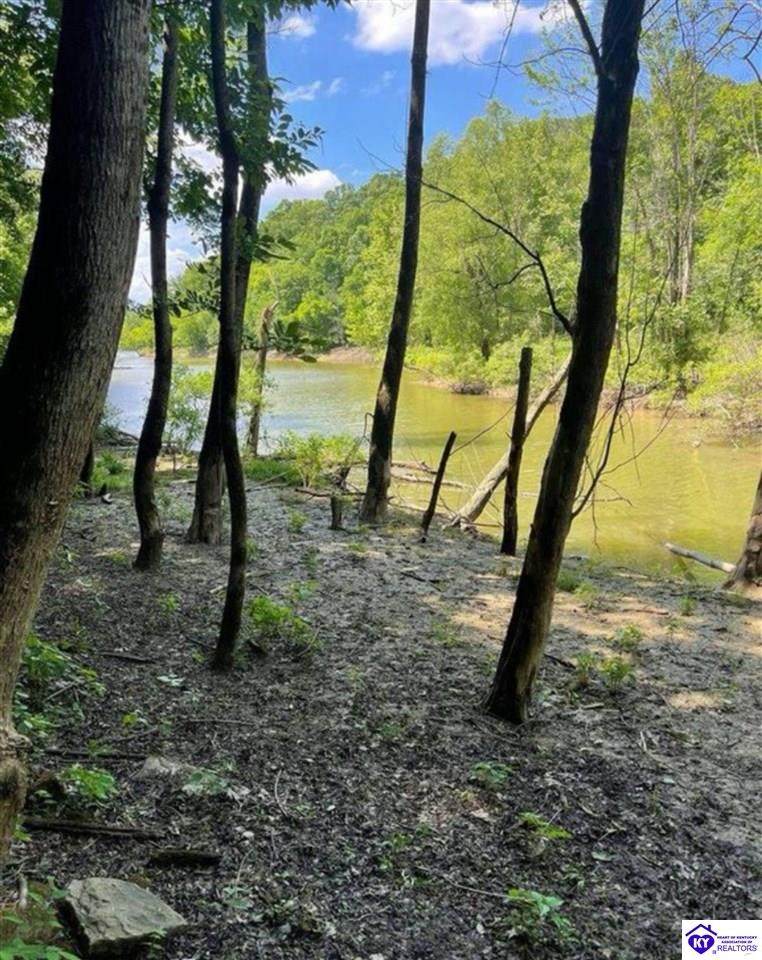 992 Jm Mercer Campsite Road - Photo 1